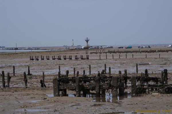 Vue sur le passage du gois :: Noirmoutier
le mot  " goi " vient de la déformation du mot " goiser " qui signifie en patois   :   marcher en mouillant ses sabots " c'était la seule façon de  rejoindre l'ile de noirmoutier avec les bateaux, la vue est prise depuis les anciens parcs.
Mots-clés: goi Noirmoutier