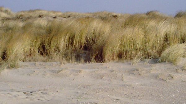 Plage vers Calais
Vers Calais         
Mots-clés: Calais