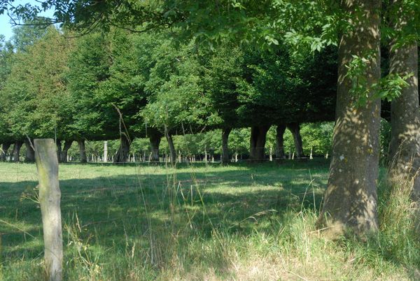 Beaufort Blavincourt
Mots-clés: Beaufort Blavincourt