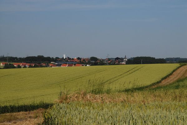 Les champs de Beaufort Blavincourt
Mots-clés: Beaufort Blavincourt