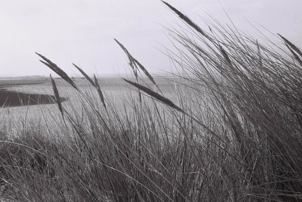 Du côté de Calais
Mots-clés: Calais
