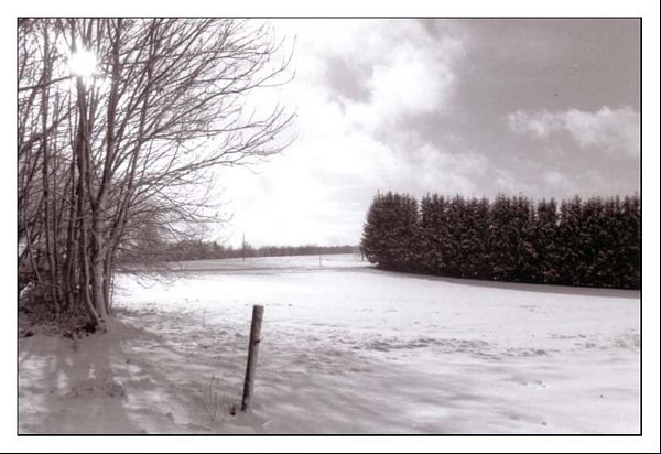 Paysage de neige vosgien
Vosges
Mots-clés: Vosges