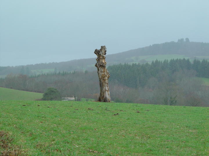 Foudroyé du Morvan
Mots-clés: Morvan