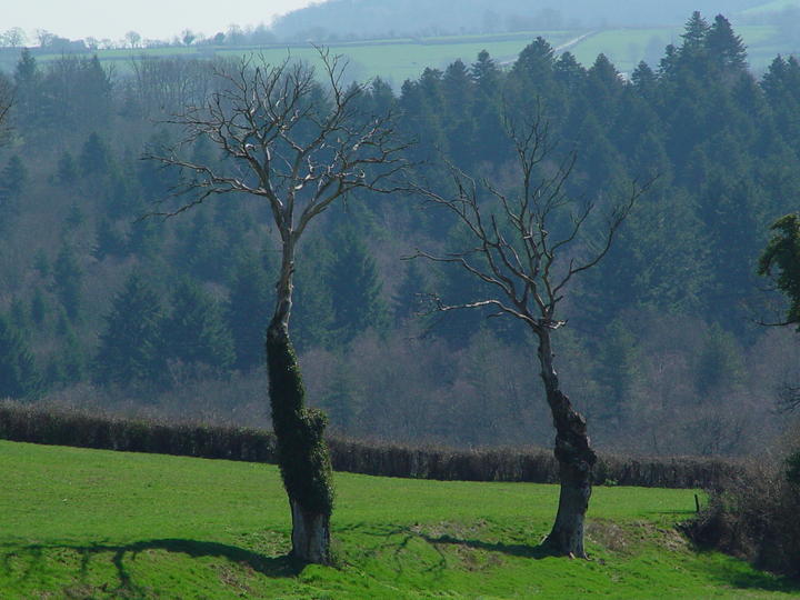 LES DEUX FONT LA PAIRE
JP MIGNARD
Mots-clés: LA BASCULE