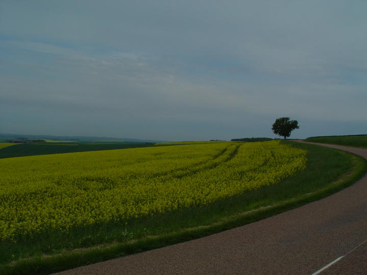 Jaune en Puisaye
Mots-clés: Puisaye