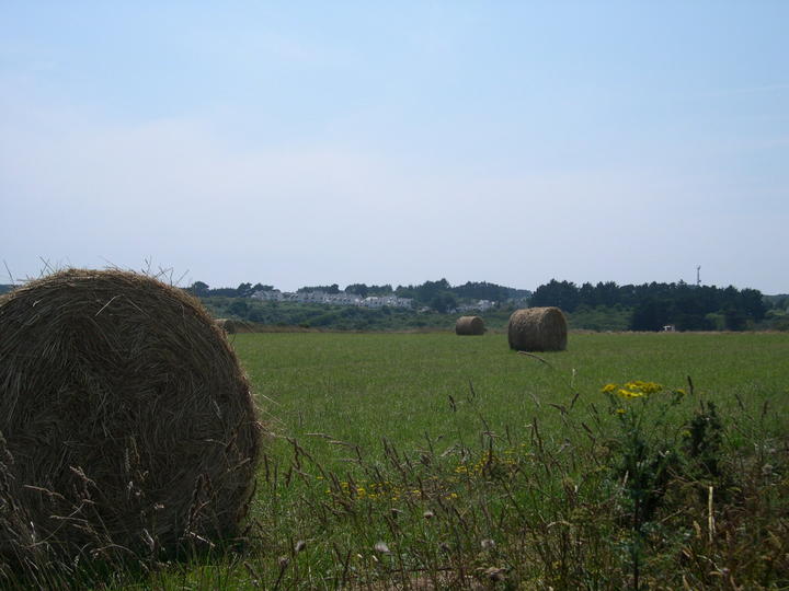 campagne bretonne Belle-Ile-en-Mer
à Belle Ile en Mer
Mots-clés: Bretagne Morbihan Belle-Ile-en-Mer
