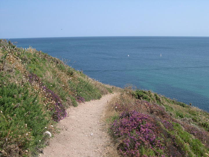 Chemin côtier Belle Ile en Mer
balade à Belle Ile en Mer
Mots-clés: Bretagne Morbihan Belle-Ile-en-Mer