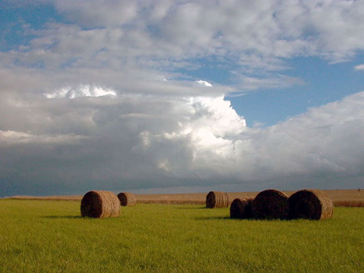 Paysage agricole dans le Pas-de-Calais
repos
Mots-clés: paysage Pas-de-Calais