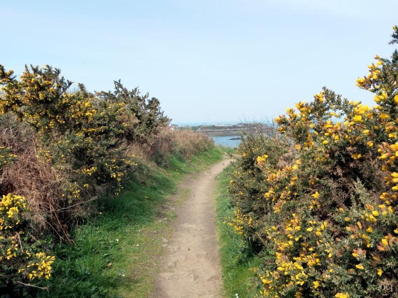 Balade sur le GR34
Mots-clés: Balade sur le GR34