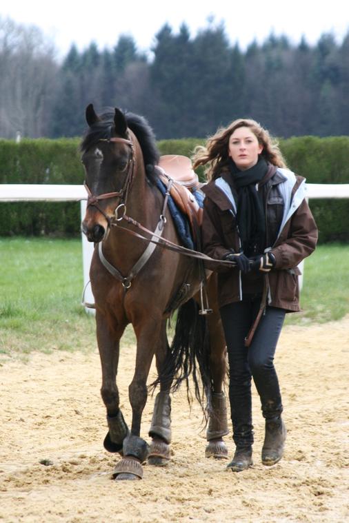 Environs Arnac Pompadour
Arnac-Pompadour et ces environs
