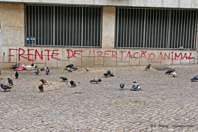 Frente de libertação animal, Estrela, Lisbonne - Portugal