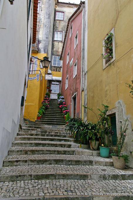 Ruelle fleurie, Escadinhas Félix Nunes, Sintra - Portugal