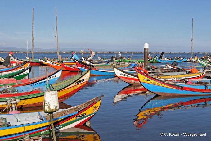 Colonie de Moliceiros, Torreira - Portugal