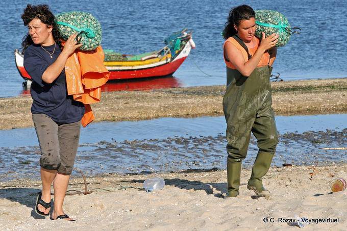 Les coquillages sur l'épaule, Torreira - Portugal