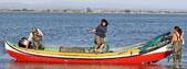 Retour de la pêche aux coquillages, Torreira, Portugal.