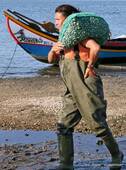 La pêcheuse de coques, Torreira, Portugal.