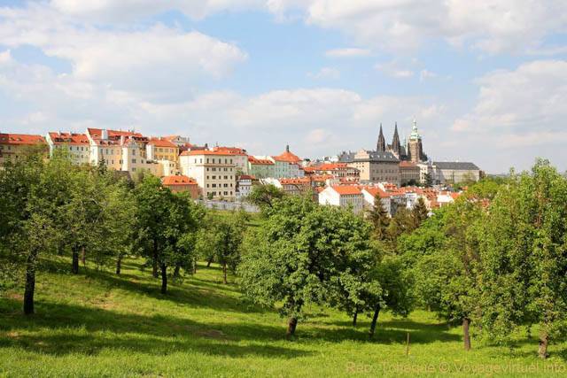 Malá Strana, les arbres de la Colline de Petrin - Prague, République Tchèque