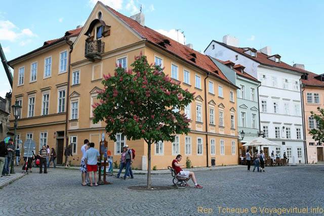 L'arbre en fleurs sur la place, Na Kampe, Malá Strana - Prague, République Tchèque