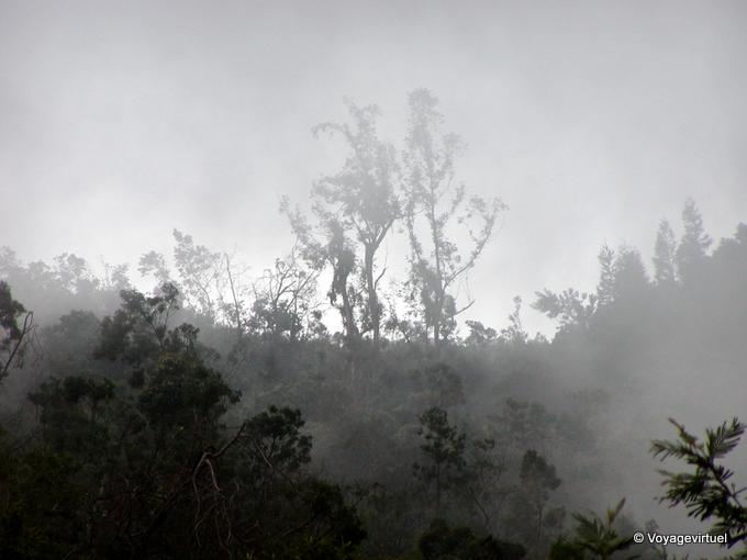 Brume des nuages sur le Dimitile - La Réunion
