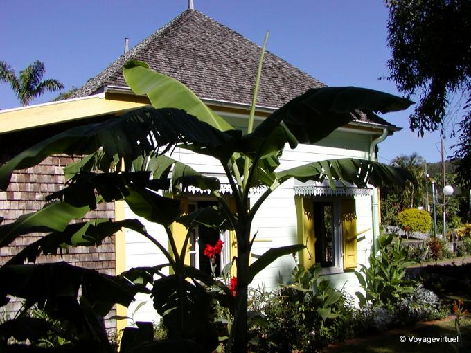 Bananier et case à l'Entre-Deux - La Réunion