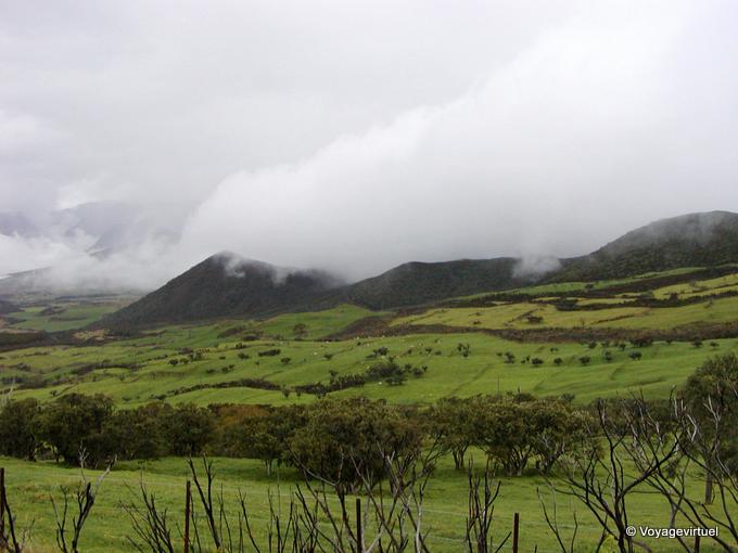 Prés et nuages sur les Hauts du Palmiste - La Réunion