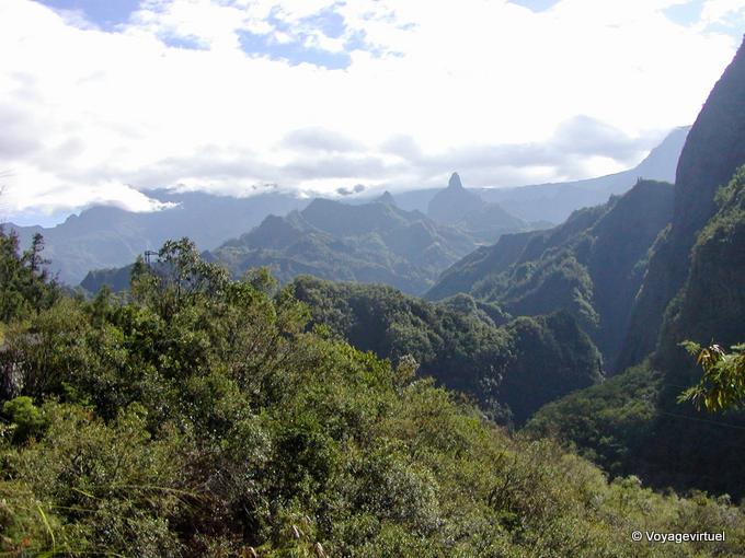 Un autre regard depuis le Palmiste - La Réunion