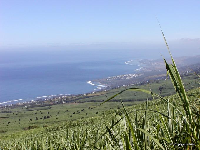 Panorama sur la côte depuis les champs de canne à sucre - La Réunion