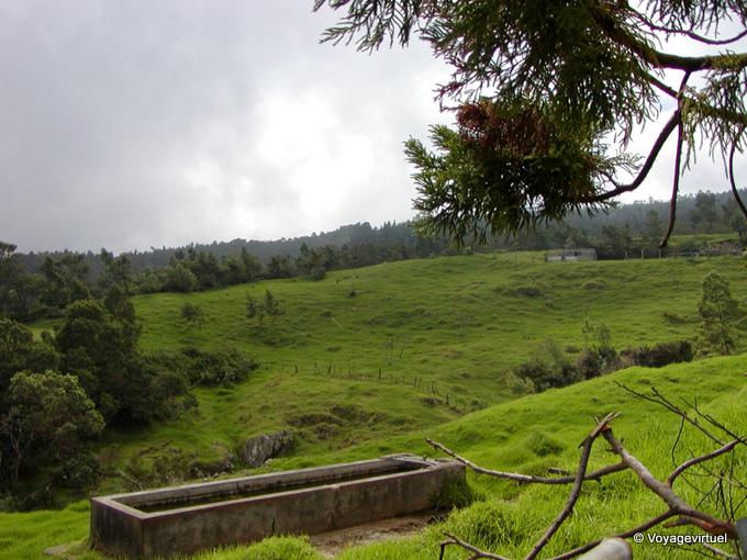 Un pâturage bucolique et une auge - La Réunion