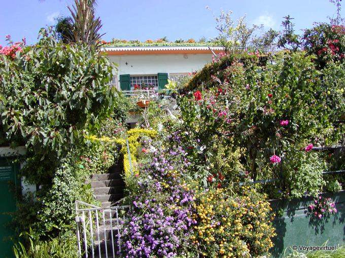 Toit fleuri, Cilaos - La Réunion