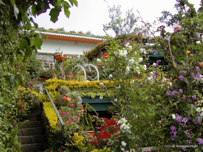 Case fleurie, Cilaos - La Réunion