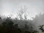 Brume des nuages sur le Dimitile, La Réunion.