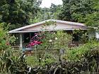 Maison cachée dans les frondaisons, Entre-Deux, La Réunion.