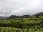 Prés et nuages sur les Hauts du Palmiste, La Réunion.