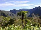 Fougère arborescente devant un cirque montagneux, La Réunion.