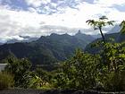 Depuis les hauteurs des palmistes, La Réunion.