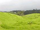 La verdure des Hauts, La Réunion.