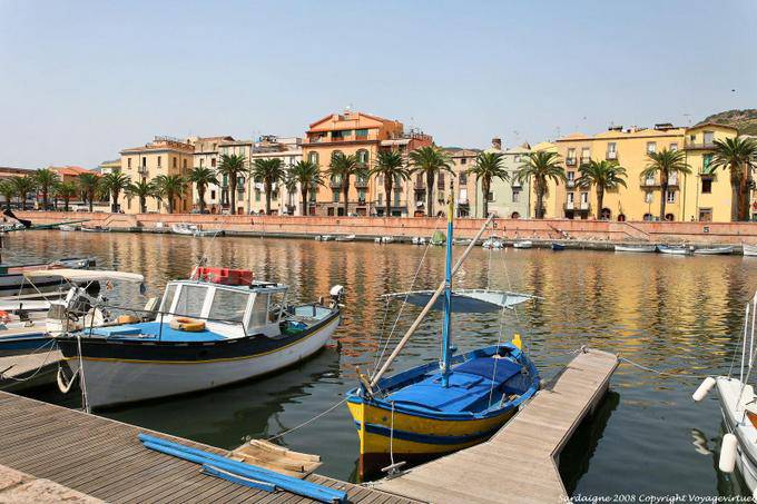 Bosa, les palmiers du Lungo Temo Alcide de Gasperi - Sardaigne