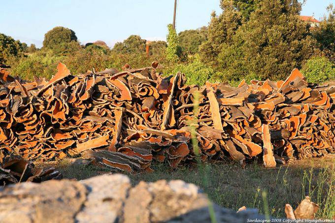 Calangianus, capitale du liège - Sardaigne