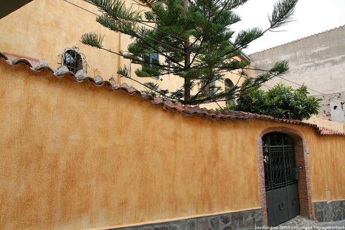 Orosei, mur et araucaria - Sardaigne