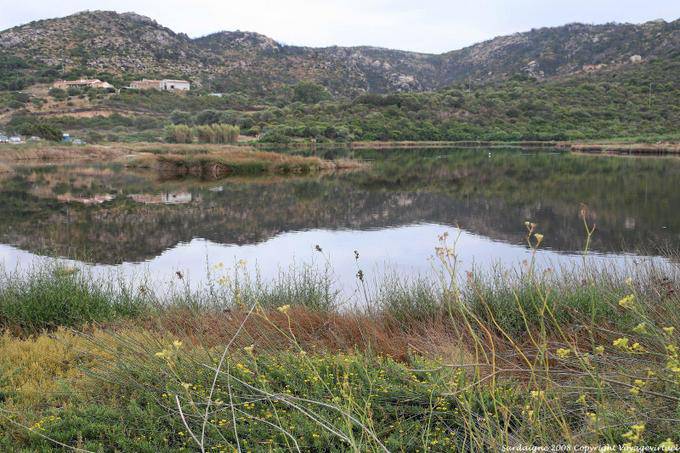 Palau, étang le Saline - Sardaigne