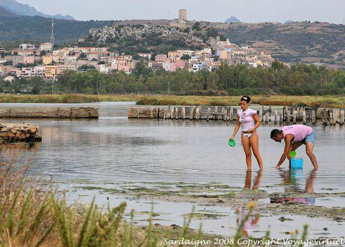 Posada Monte Longu, ramassage des coquillages - Sardaigne