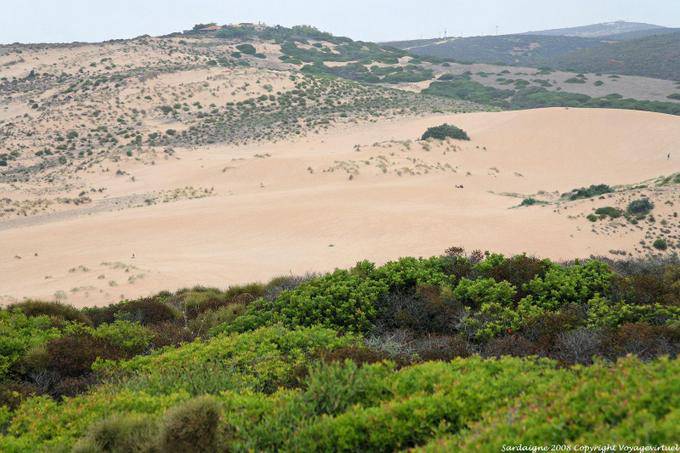 Les dunes de Sabbie d'Oro, Torre del Corsari - Sardaigne