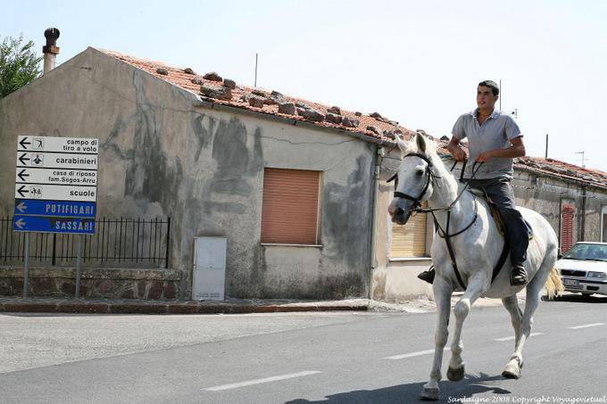 Villanova Monteleone, le cavalier sur la route - Sardaigne
