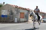Villanova Monteleone, le cavalier sur la route, Sardaigne.