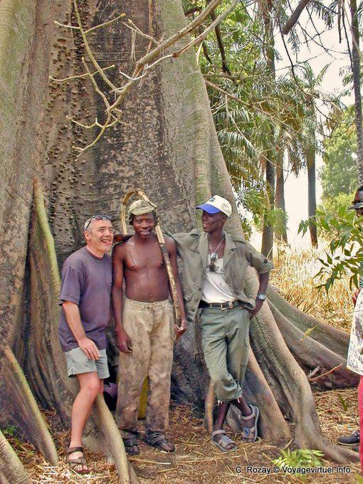 Au pied de mon arbre, entre les racines du fromager - Sénégal