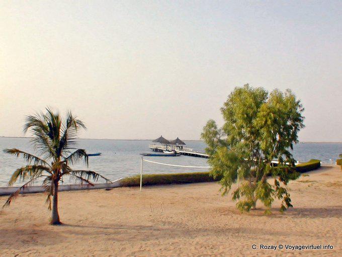 Sable, arbre et delta, Sine-Saloum - Sénégal