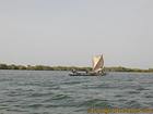 Voile et embarcation typique du Sine Saloum, Senegal.