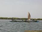 Bateau remontant le fleuve Saloum à la voile, Senegal.