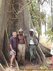 Au pied de mon arbre, entre les racines du fromager, Senegal.