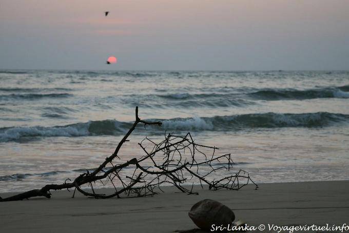 Dernier moment avant la disparition du soleil, Beruwela - Ceylan Sri Lanka